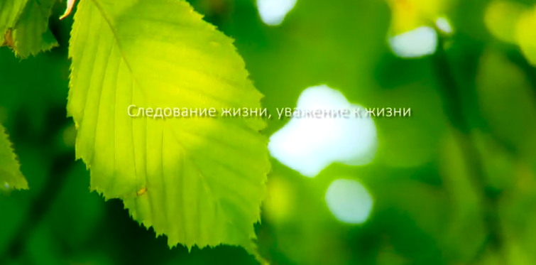 CC网投集团形象片（русский）