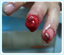 CC网投·(中国游)官方网站