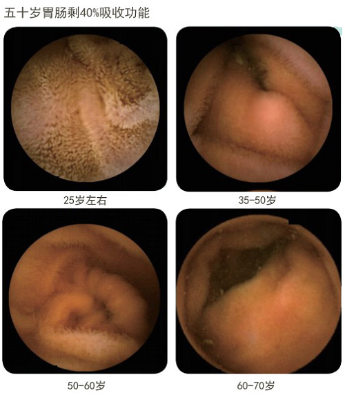 CC网投·(中国游)官方网站