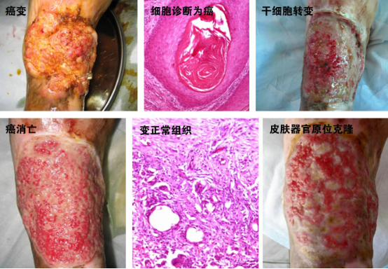CC网投·(中国游)官方网站