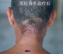 CC网投·(中国游)官方网站