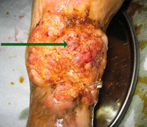 CC网投·(中国游)官方网站