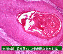 CC网投·(中国游)官方网站