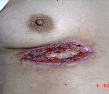 CC网投·(中国游)官方网站