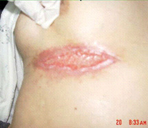 CC网投·(中国游)官方网站