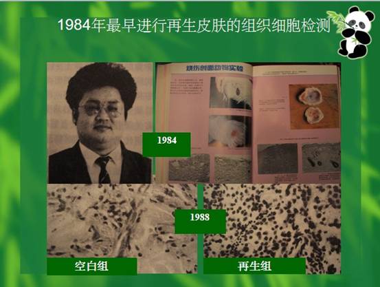 CC网投·(中国游)官方网站