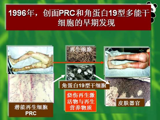 CC网投·(中国游)官方网站