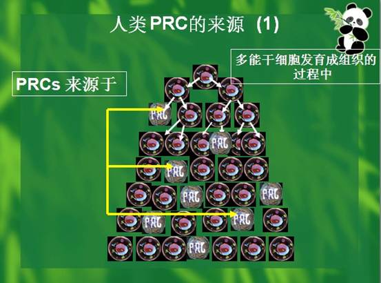 CC网投·(中国游)官方网站