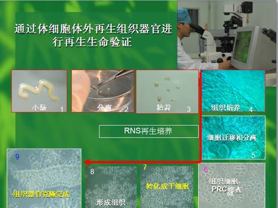 CC网投·(中国游)官方网站