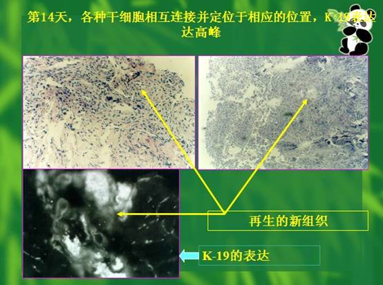 CC网投·(中国游)官方网站