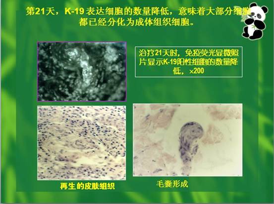 CC网投·(中国游)官方网站