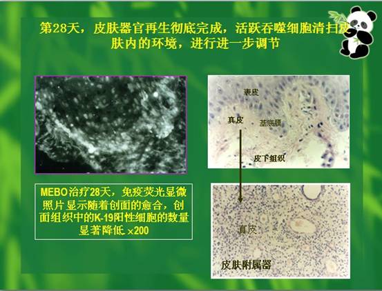 CC网投·(中国游)官方网站