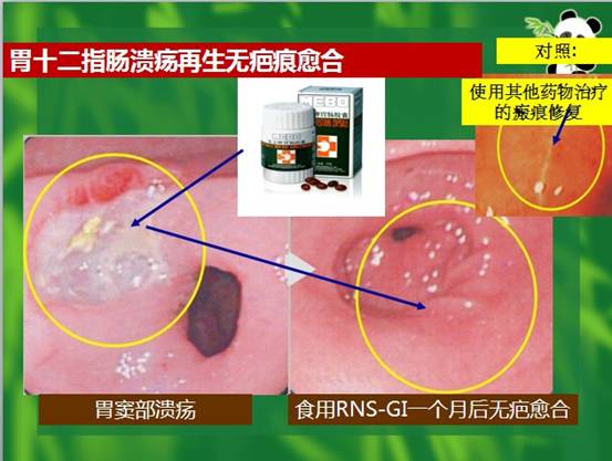 CC网投·(中国游)官方网站