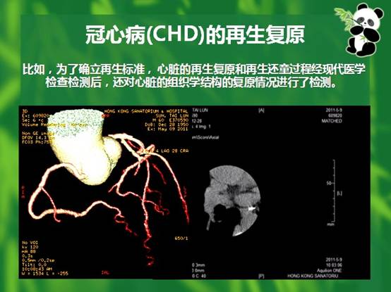 CC网投·(中国游)官方网站