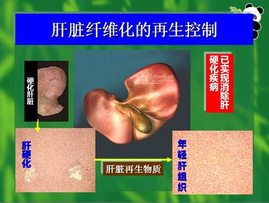 CC网投·(中国游)官方网站