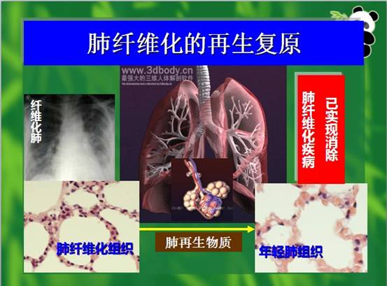 CC网投·(中国游)官方网站
