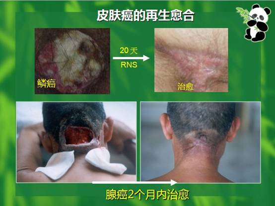 CC网投·(中国游)官方网站