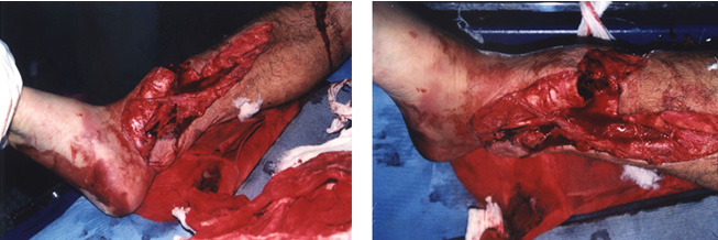 CC网投·(中国游)官方网站