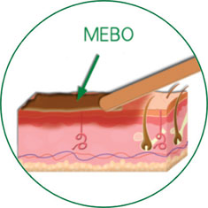 CC网投·(中国游)官方网站