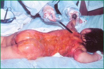 CC网投·(中国游)官方网站