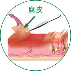 CC网投·(中国游)官方网站