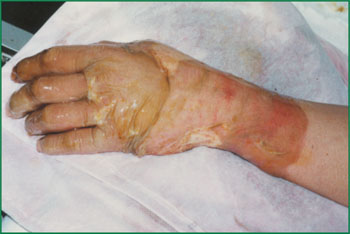 CC网投·(中国游)官方网站