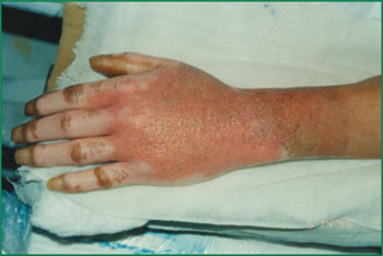 CC网投·(中国游)官方网站