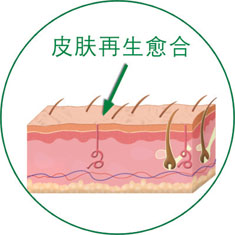 CC网投·(中国游)官方网站