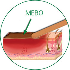 CC网投·(中国游)官方网站