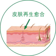 CC网投·(中国游)官方网站