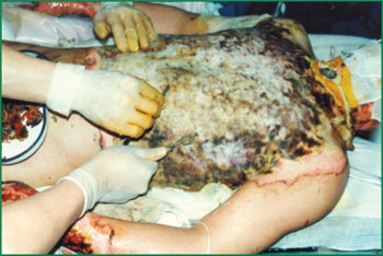 CC网投·(中国游)官方网站