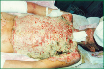 CC网投·(中国游)官方网站