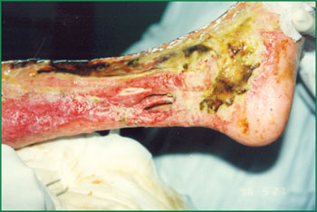 CC网投·(中国游)官方网站