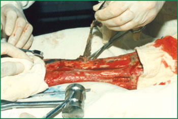 CC网投·(中国游)官方网站