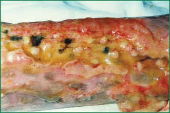 CC网投·(中国游)官方网站