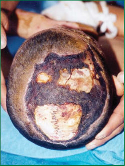 CC网投·(中国游)官方网站