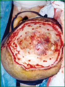 CC网投·(中国游)官方网站