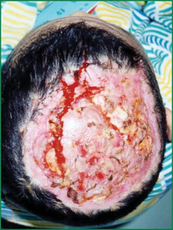 CC网投·(中国游)官方网站