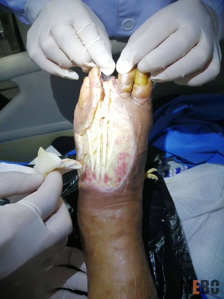 CC网投·(中国游)官方网站