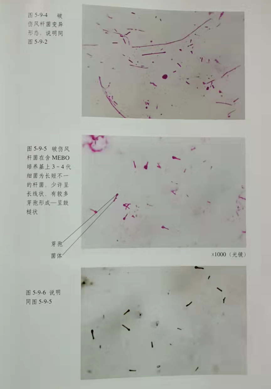CC网投·(中国游)官方网站