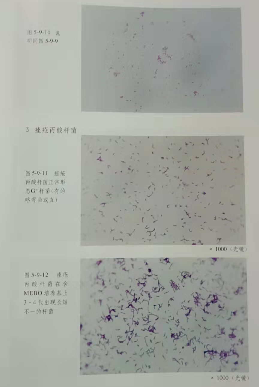 CC网投·(中国游)官方网站