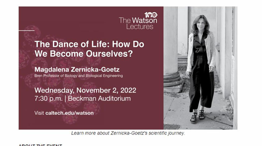 CC网投·(中国游)官方网站