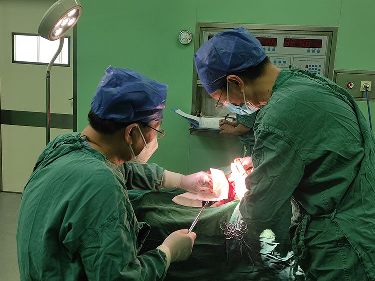 CC网投·(中国游)官方网站