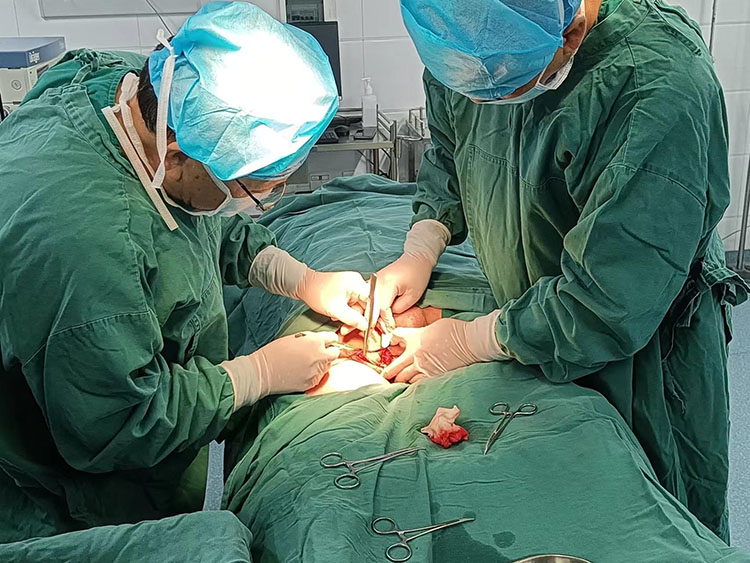 CC网投·(中国游)官方网站