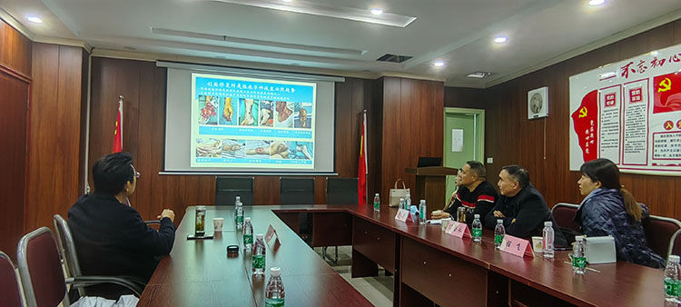 CC网投·(中国游)官方网站