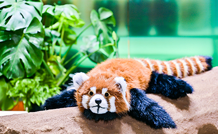 CC网投·(中国游)官方网站