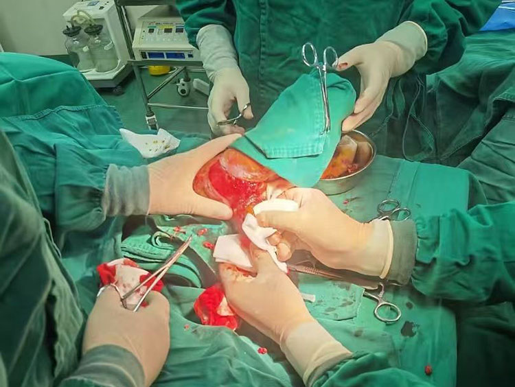 CC网投·(中国游)官方网站