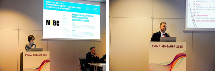 CC网投·(中国游)官方网站