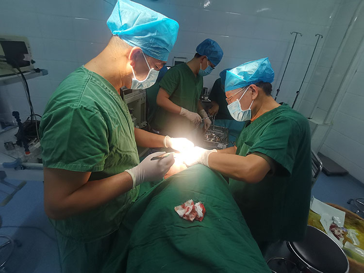 CC网投·(中国游)官方网站