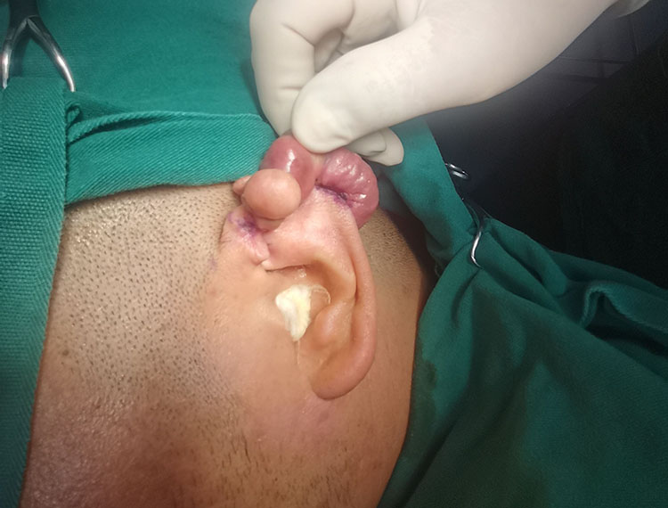 CC网投·(中国游)官方网站